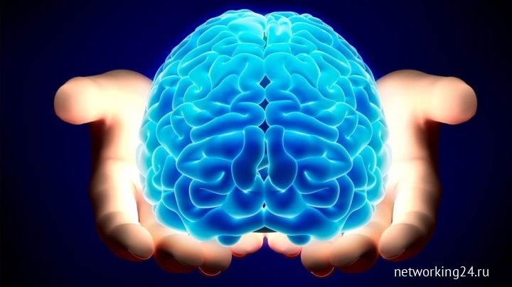 10 Советов для улучшения работы мозга